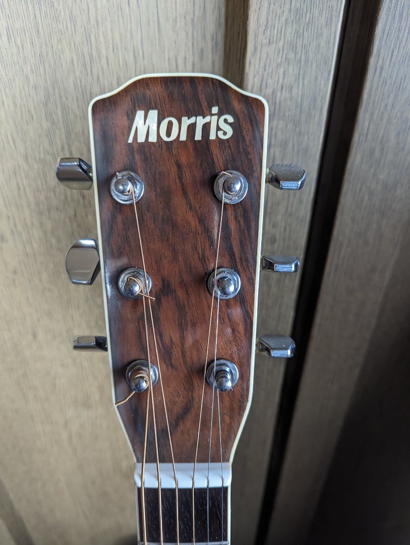 ♪訳あり！Morris M-50F ハカランダ♪ ♪訳あり！Morris M-50F