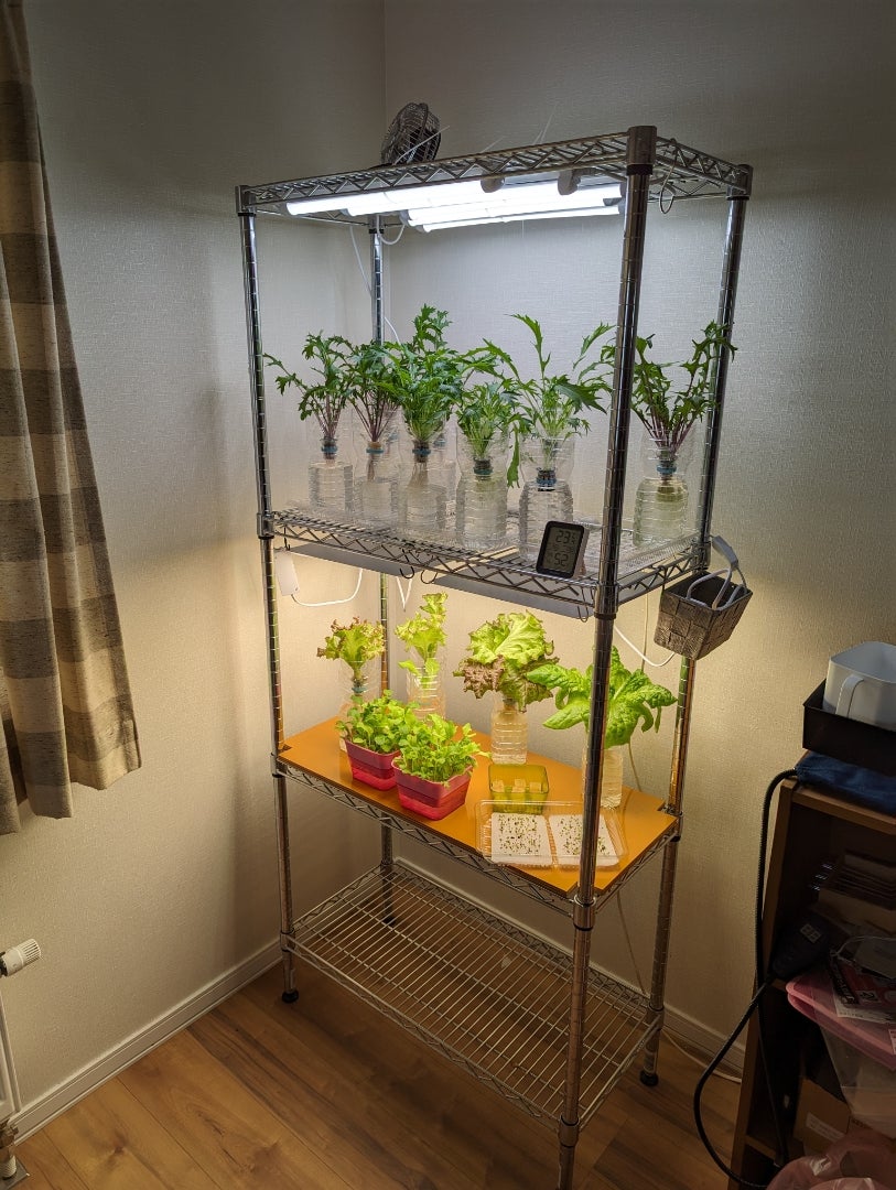 植物育成LEDパネルライト BRIM(ブリム) PANEL A 導入 レビュー 電気代