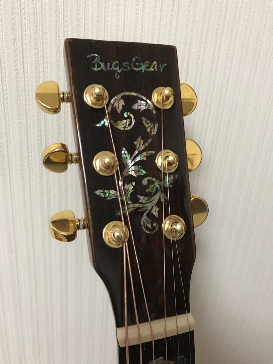 バグスギア『DR-50TL』大満足‼︎ | 五式戦のアコギ部屋