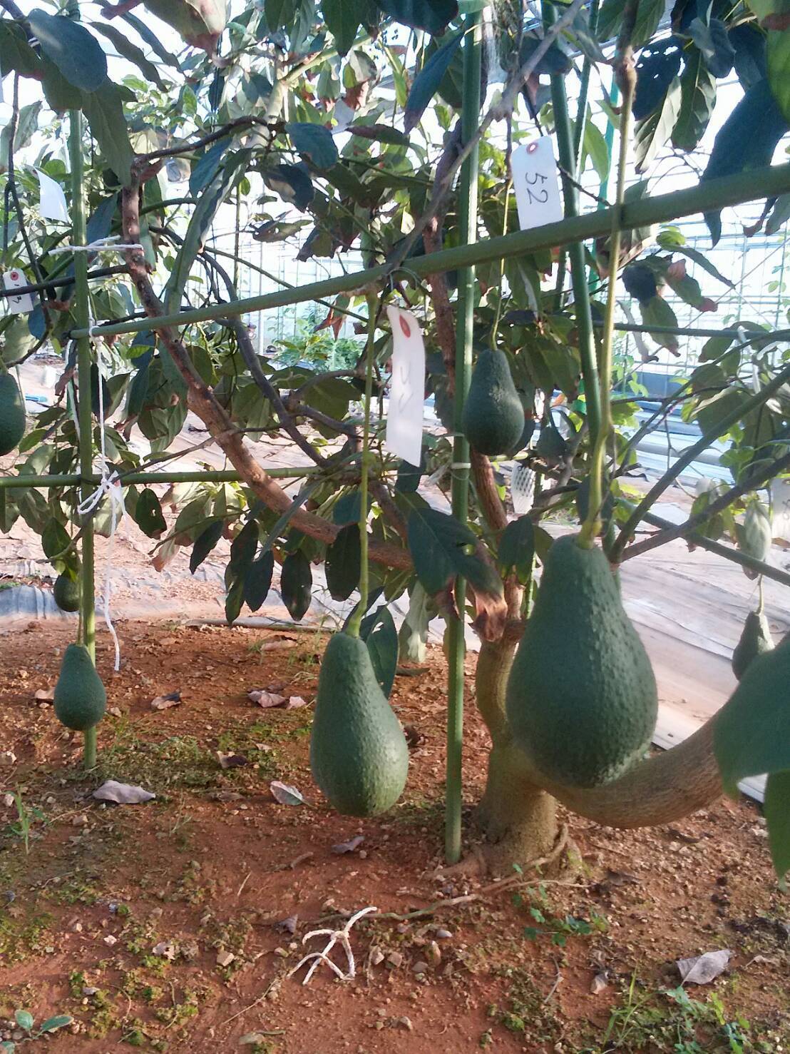 11044442070443.jpg?fit=max