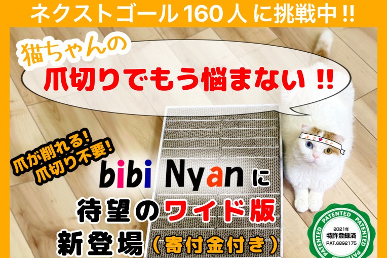 猫ちゃんの爪とぎ革命〜「爪が削れる爪とぎボード✕保護猫活動支援」が