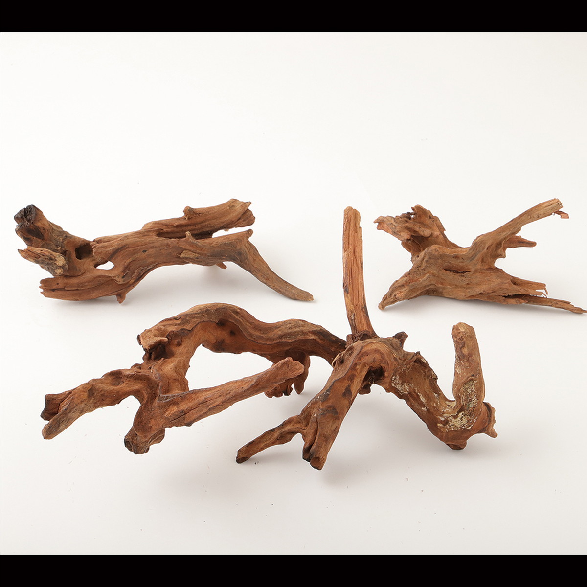 ドライ】東花/流木 約250g入り ナチュラル/69004 - 花材通販はなどんや