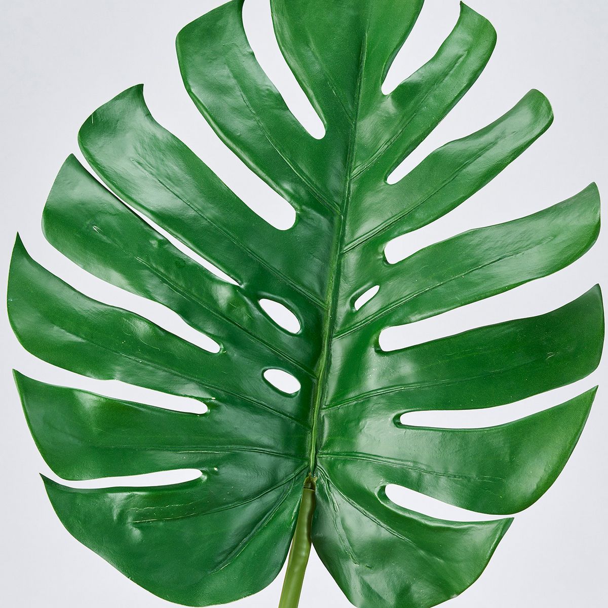 マーミット クリア緑色ラメ入り ドラキュラス 福袋新品 マーミット