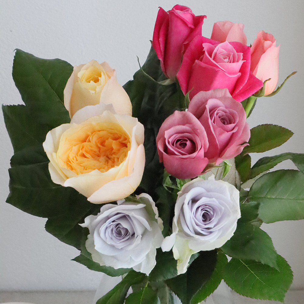 生花】石田バラ園のバラ ミックス 25cm【FJ】 - 花材通販はなどんや