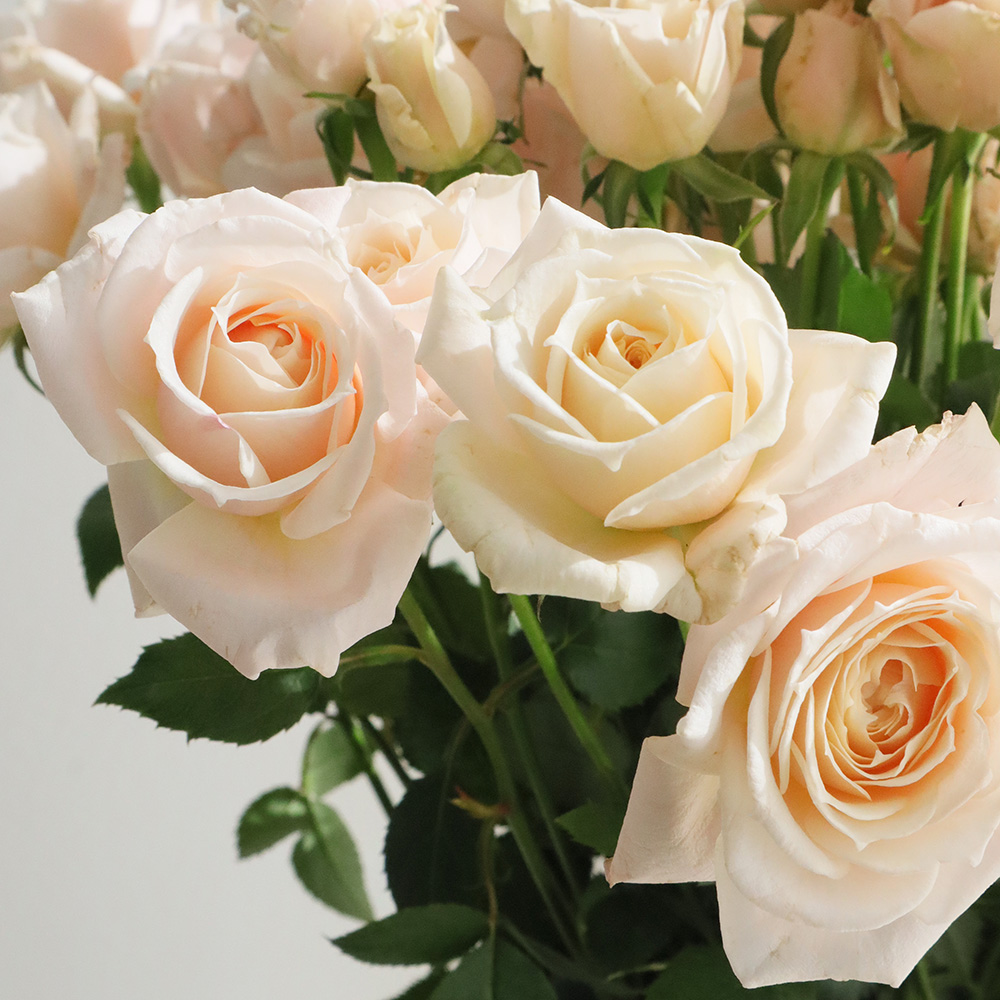 鴨居玲 花 バラ 薔薇 鑑定書なし 鴨居玲 花 バラ 薔薇 鑑定書なし