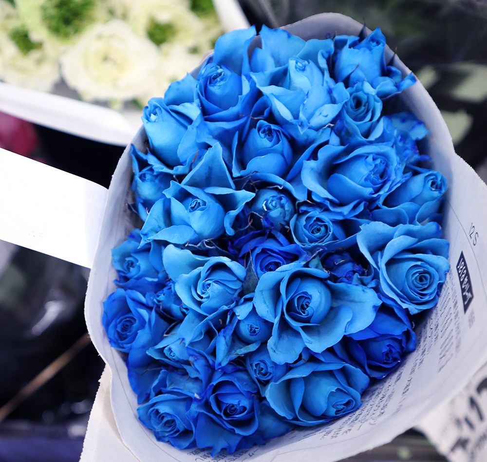 生花】SPバラ 染めロイヤルブルー(濃い青) 【早締切-75】※染色加工商品