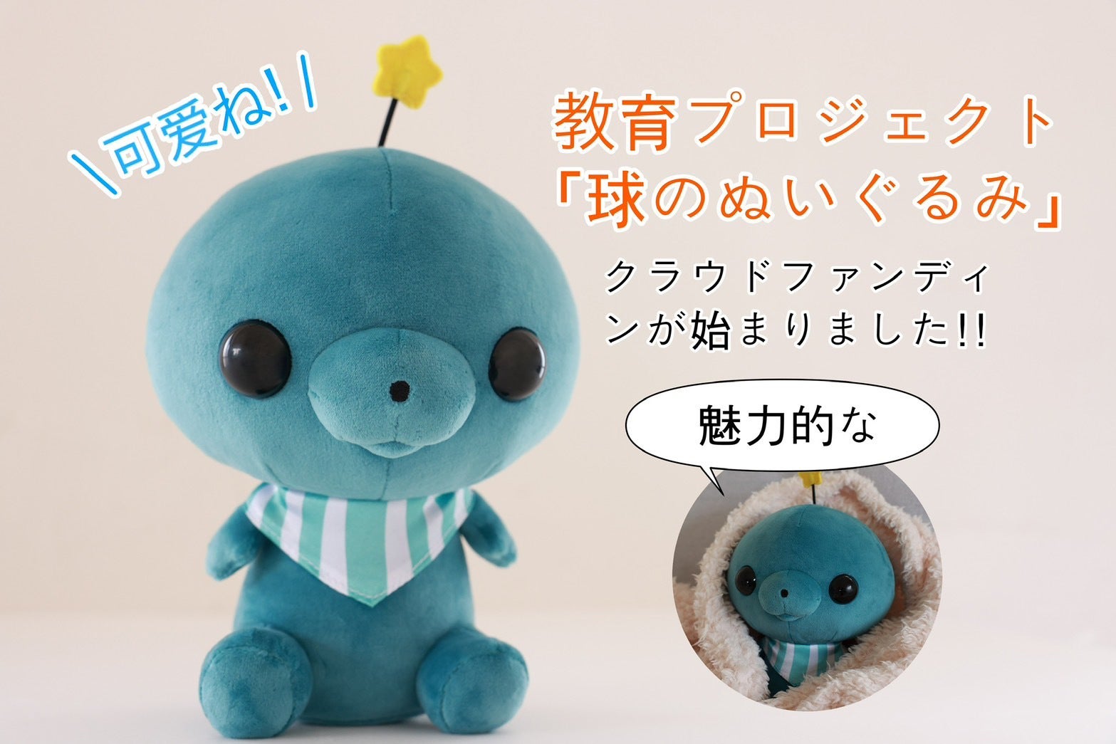 活動報告一覧 - 教育番組 タマ ぬいぐるみ化企画 - CAMPFIRE (キャンプ