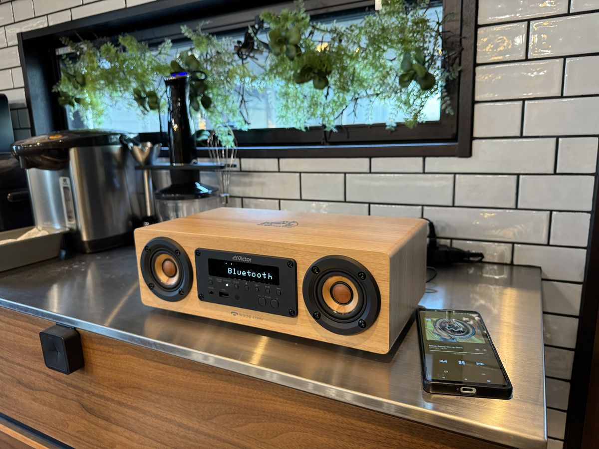 スピーカー・ウーファー Victor wood cone EX-DM10 EX-DM10