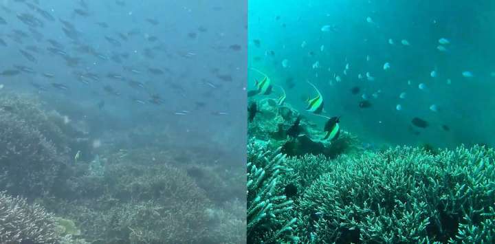 今年の夏は色鮮やかに4K 60fpsで撮影できる水中ドローンで海の思い出を