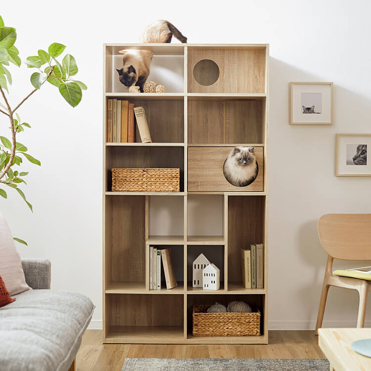 キャットウォーク付き壁面本棚 収納棚 リバーシブル 木製 [幅60