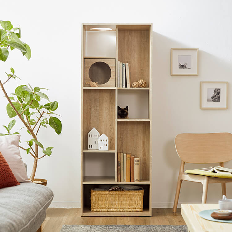 キャットウォーク付き壁面本棚 収納棚 リバーシブル 木製 [幅60