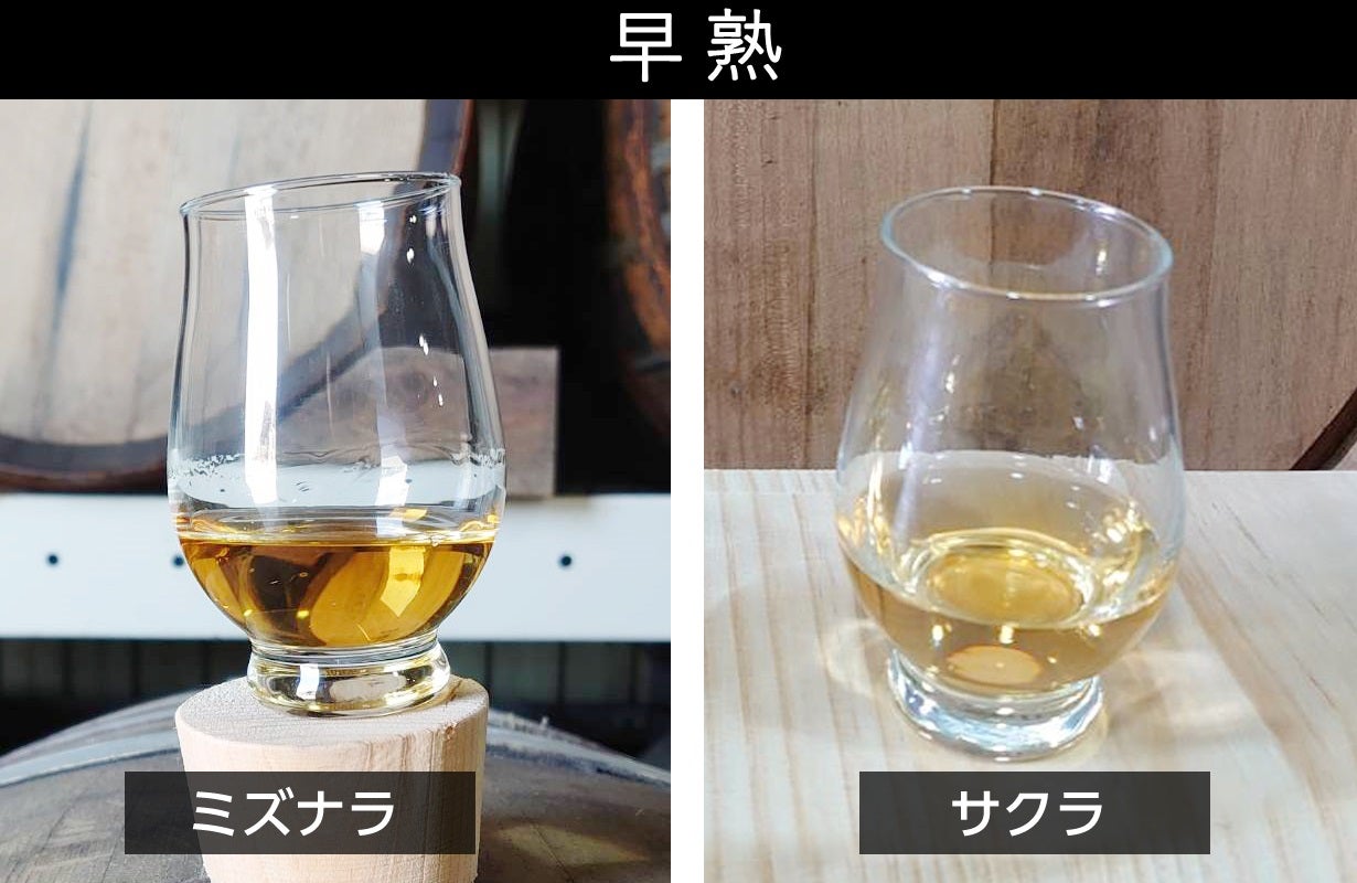 限定115本】岡山 ミズナラ カスクストレングス 60％ 700ml 未開栓 限定