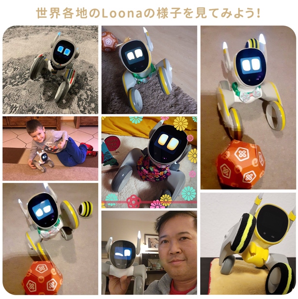Loona ルーナ ペットロボット 箱あり Loona ルーナ ペットロボット 箱