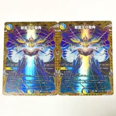 聖霊王の聖典 アルカディアスバイブル シークレット シク - メルカリ