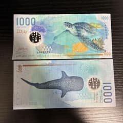 m16479336791_1.jpg?1759559472