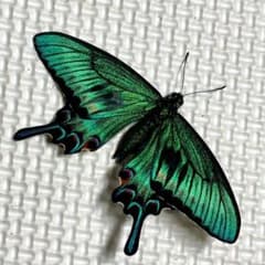 m17215926002_1.jpg?1616759739