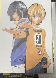 ヒカルの碁 原画展 色紙 塔矢アキラ 進藤ヒカル - メルカリ