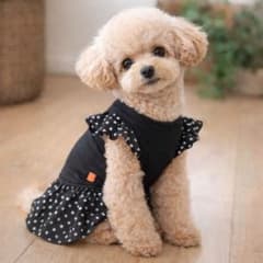 犬服 ハンドメイド ワンピース 黒 ドット フリル 小型犬 トイプードル