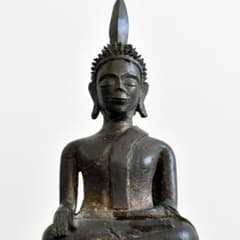 m10305724376_1.jpg?1740815514