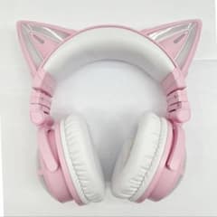 m10338275161_1.jpg?1740978570