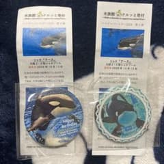 名古屋港水族館 シャチ アース 缶バッジ - メルカリ