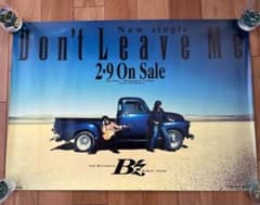 m13062273669_1.jpg?1714896412