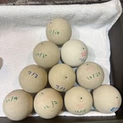ソフトテニスボール中古 11 - メルカリ
