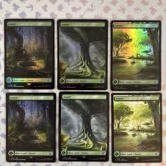 m29692754711_1.jpg?1749298233