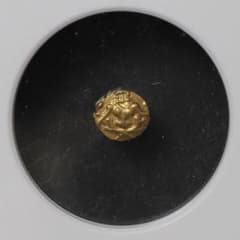 m29282162893_1.jpg?1729934878