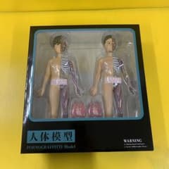 m21142052997_1.jpg?1712309327