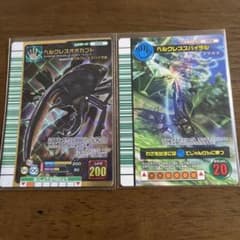 m21276933458_1.jpg?1724937157