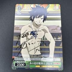 ヴァイス フェアリーテイル 氷の造形魔導士 グレイ TD サイン - メルカリ