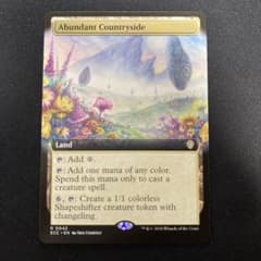 豊かな在郷 英語版拡張アート - メルカリ