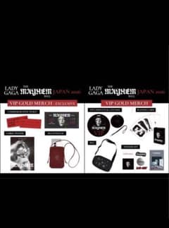 LADY GAGA VIP GOLD グッズ フルセット - メルカリ