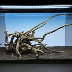 MSRW-7175スリムウッドレイアウトセット 60cm水槽用流木 アクアリウム