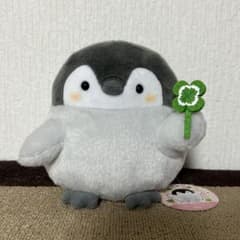 m38623957343_1.jpg?1755342692