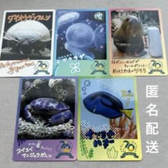 鳥羽水族館 TOBA AQUARIUMコレクションカード 5枚セット - メルカリ