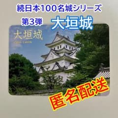 m45979817143_1.jpg?1754016888