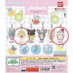 JOCHUM ぽぽ もこ 2つセット - メルカリ