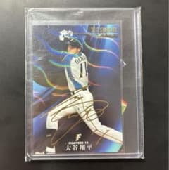 m42003949214_1.jpg?1728116915