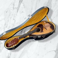 ハードケース付】SUZUKI マンドリン M-215 - メルカリ