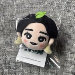 Mrs. GREEN APPLE 大森元貴 ぬいぐるみ キーリング ソウルコン - メルカリ