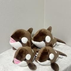 須磨シーワールド オルカくじ バレンタイン限定カラー ショコラデュオ