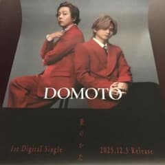 DOMOTO 堂本剛 堂本光一 愛のかたまり B2 ポスター - メルカリ