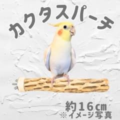 鳥用品 止まり木 カクタス スケルトン パーチ 中細 No.571 - メルカリ