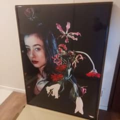 m65603412270_1.jpg?1748071656