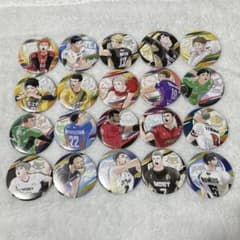 ハイキュー コレクション缶バッジ Vリーグ 20点 - メルカリ