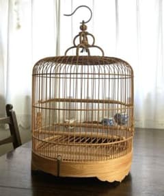 m60270206482_1.jpg?1713497545