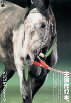 m74259047804_1.jpg?1720242865