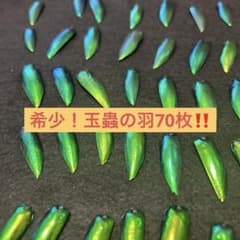 m75659735498_1.jpg?1750072399